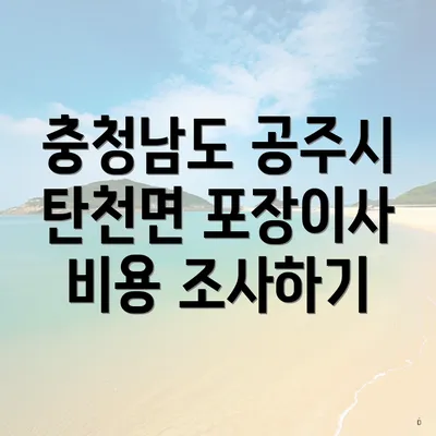 충청남도 공주시 탄천면 포장이사