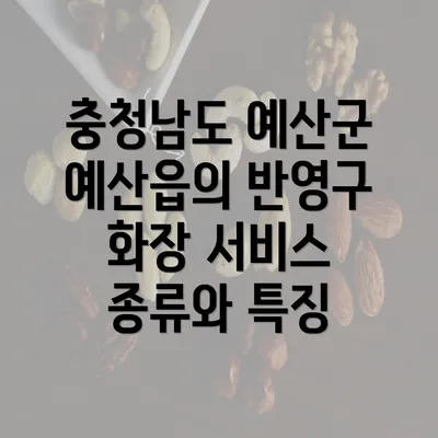 충청남도 예산군 예산읍의 반영구 화장 서비스 종류와 특징