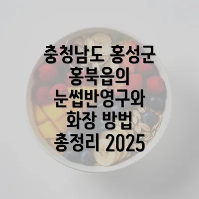 충청남도 홍성군 홍북읍의 눈썹반영구와 화장 방법 총정리 2025