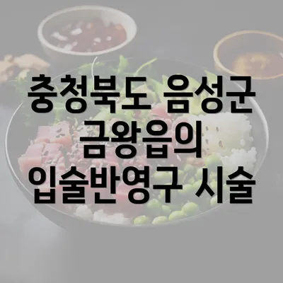 충청북도 음성군 금왕읍의 입술반영구 시술