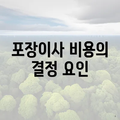 포장이사 비용의 결정 요인