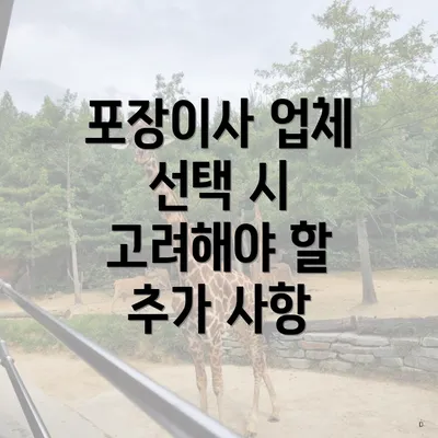 포장이사 업체 선택 시 고려해야 할 추가 사항