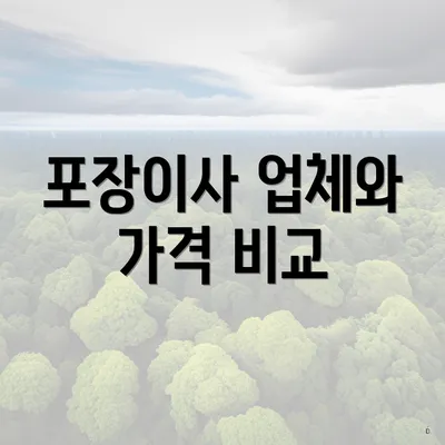 포장이사 업체와 가격 비교