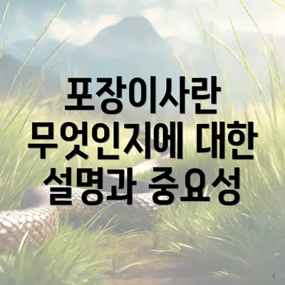 포장이사란 무엇인지에 대한 설명과 중요성