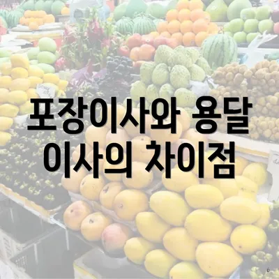 포장이사와 용달 이사의 차이점