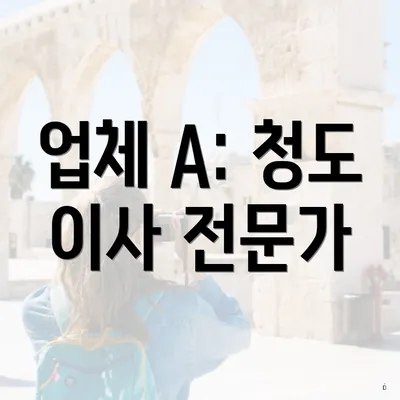 업체 A: 청도 이사 전문가