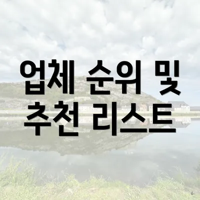 업체 순위 및 추천 리스트