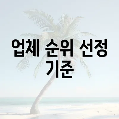 업체 순위 선정 기준