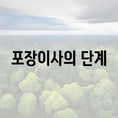 포장이사의 단계