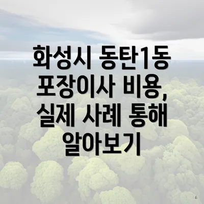 화성시 동탄1동 포장이사 비용, 실제 사례 통해 알아보기