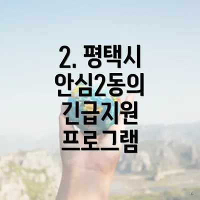 2. 평택시 안심2동의 긴급지원 프로그램