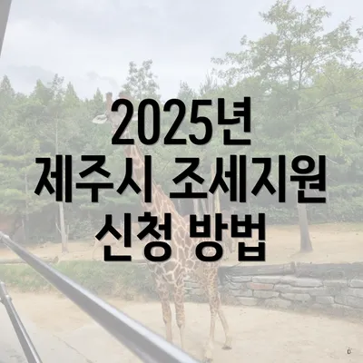 2025년 제주시 조세지원 신청 방법