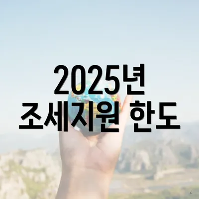 2025년 조세지원 한도