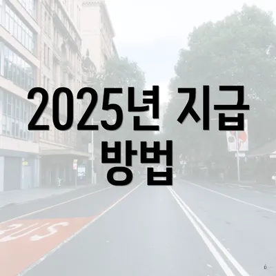 2025년 지급 방법