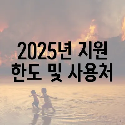 2025년 지원 한도 및 사용처