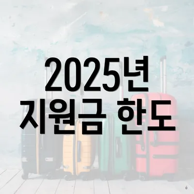 2025년 지원금 한도
