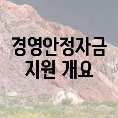 경영안정자금 지원 개요