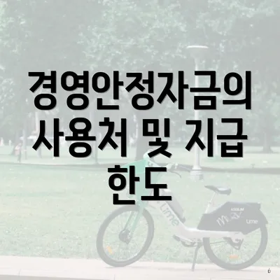 경영안정자금의 사용처 및 지급 한도