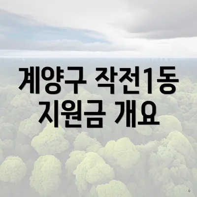 계양구 작전1동 지원금 개요