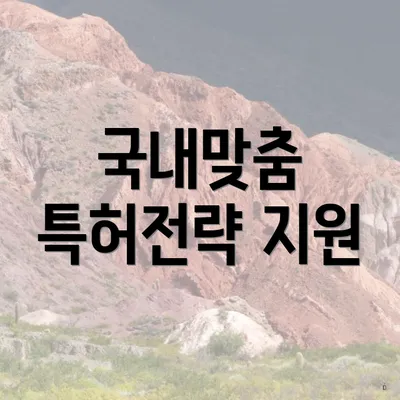 국내맞춤 특허전략 지원
