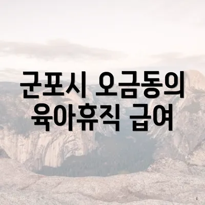 군포시 오금동의 육아휴직 급여