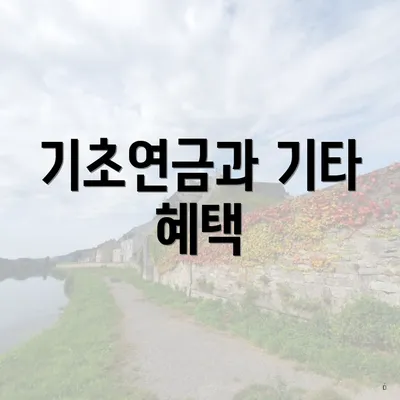 기초연금과 기타 혜택