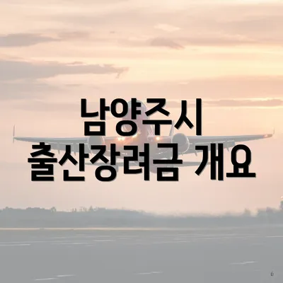 남양주시 출산장려금 개요