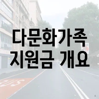 다문화가족 지원금 개요