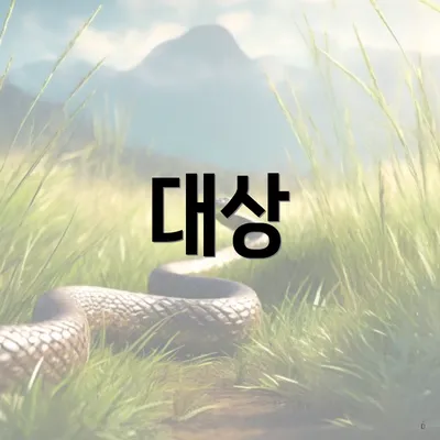 대상