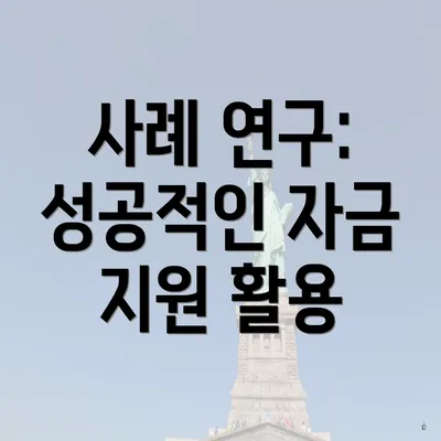 사례 연구: 성공적인 자금 지원 활용