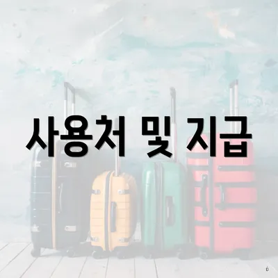 사용처 및 지급