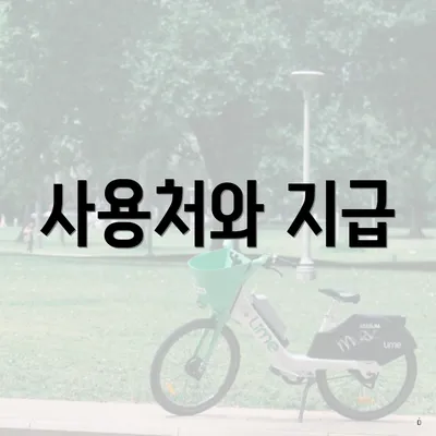 사용처와 지급