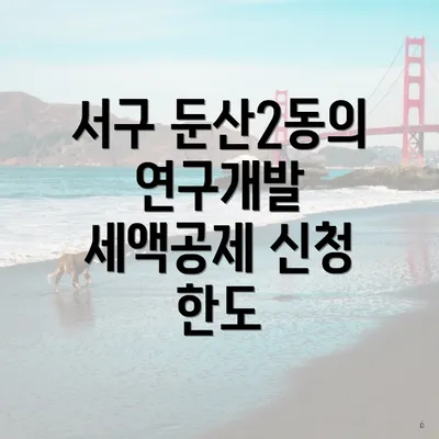 서구 둔산2동의 연구개발 세액공제 신청 한도