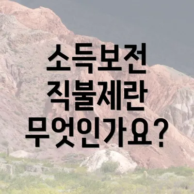 소득보전 직불제란 무엇인가요?