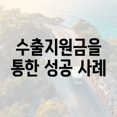 수출지원금을 통한 성공 사례