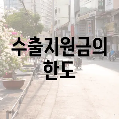 수출지원금의 한도