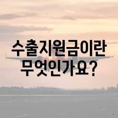 수출지원금이란 무엇인가요?