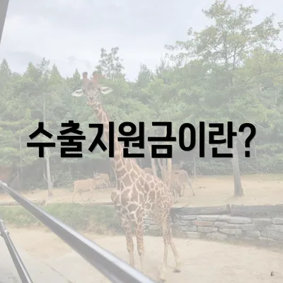 수출지원금이란?