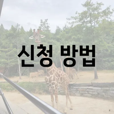 신청 방법