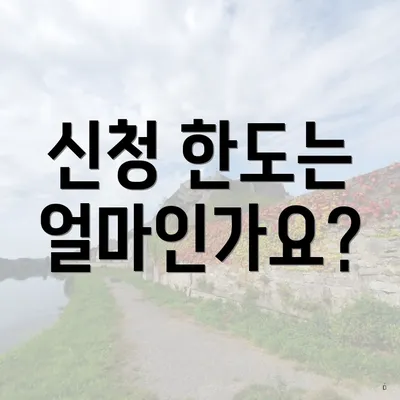 신청 한도는 얼마인가요?