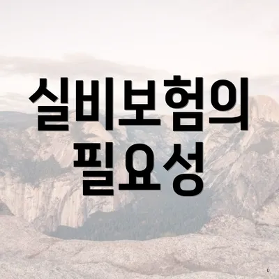 실비보험의 필요성