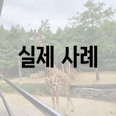 실제 사례
