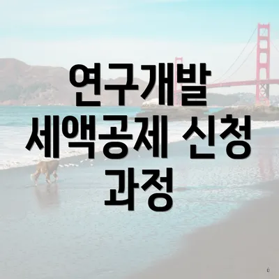 연구개발 세액공제 신청 과정