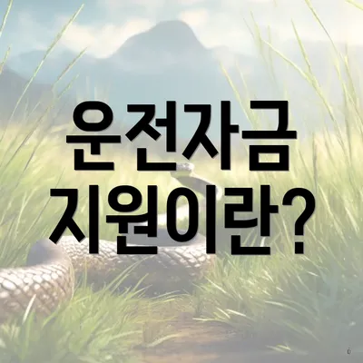 운전자금 지원이란?