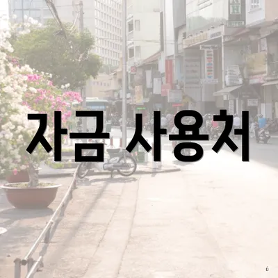 자금 사용처