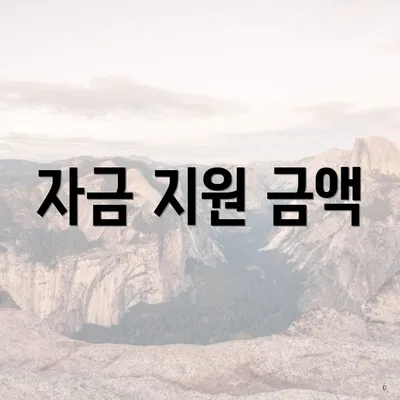 자금 지원 금액