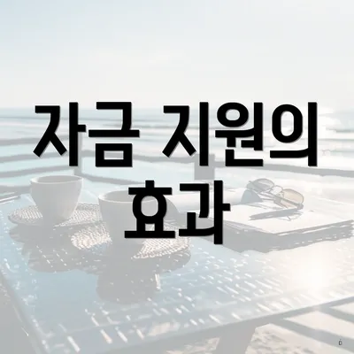 자금 지원의 효과