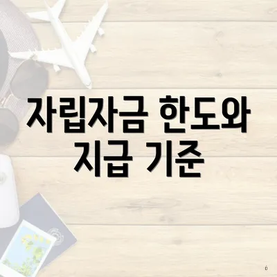 자립자금 한도와 지급 기준