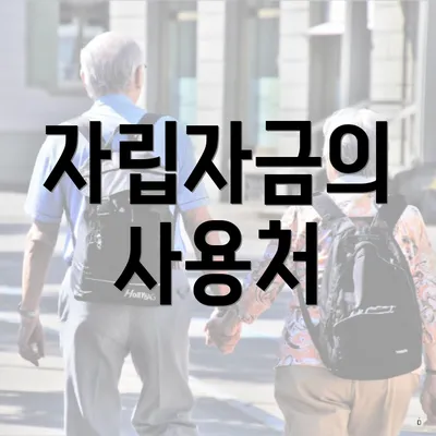 자립자금의 사용처