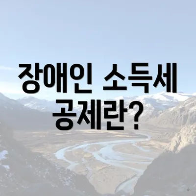장애인 소득세 공제란?